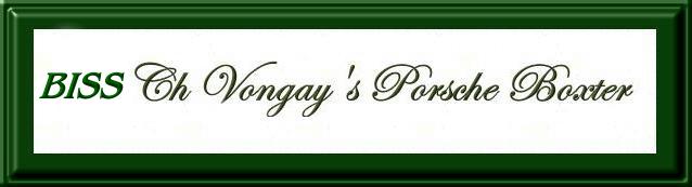 BISS CH Vongays Porche Boxter