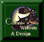 Website By Connie